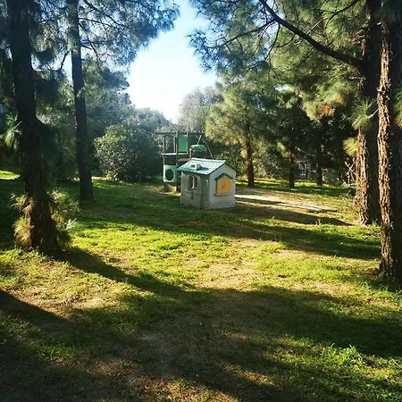 Cara Catherine Geremèas