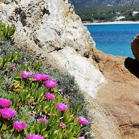 Cara Catherine Casa vacanze