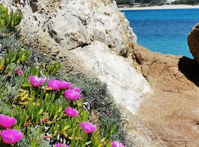 Cara Catherine Tatil Evi