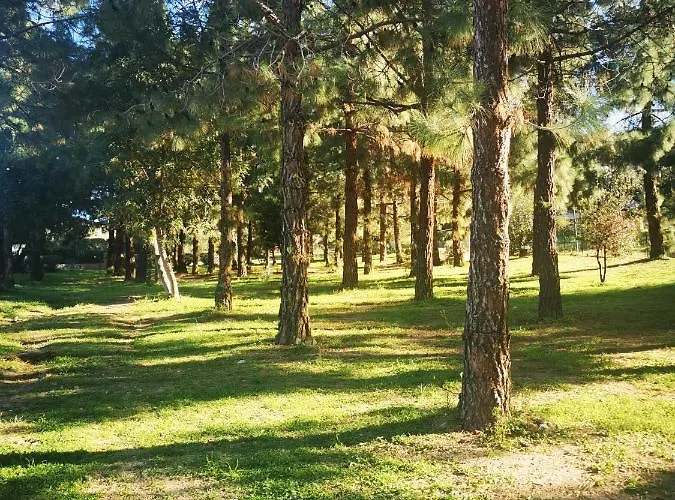 Cara Catherine Tatil Evi Geremèas