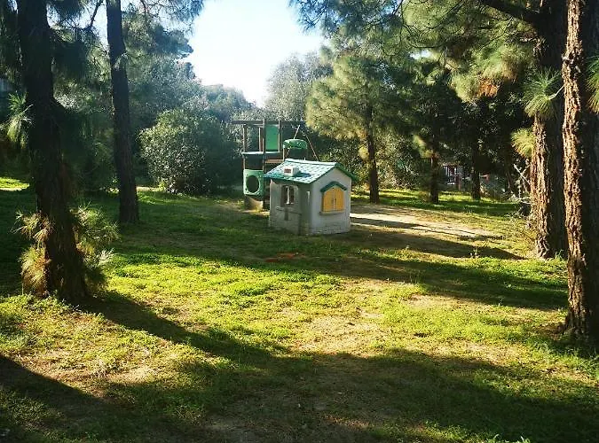 Cara Catherine Geremèas